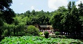 長沙出發(fā)到花明樓、韶山、張家界國家森林公園、天門仙山國家森林公園四日游